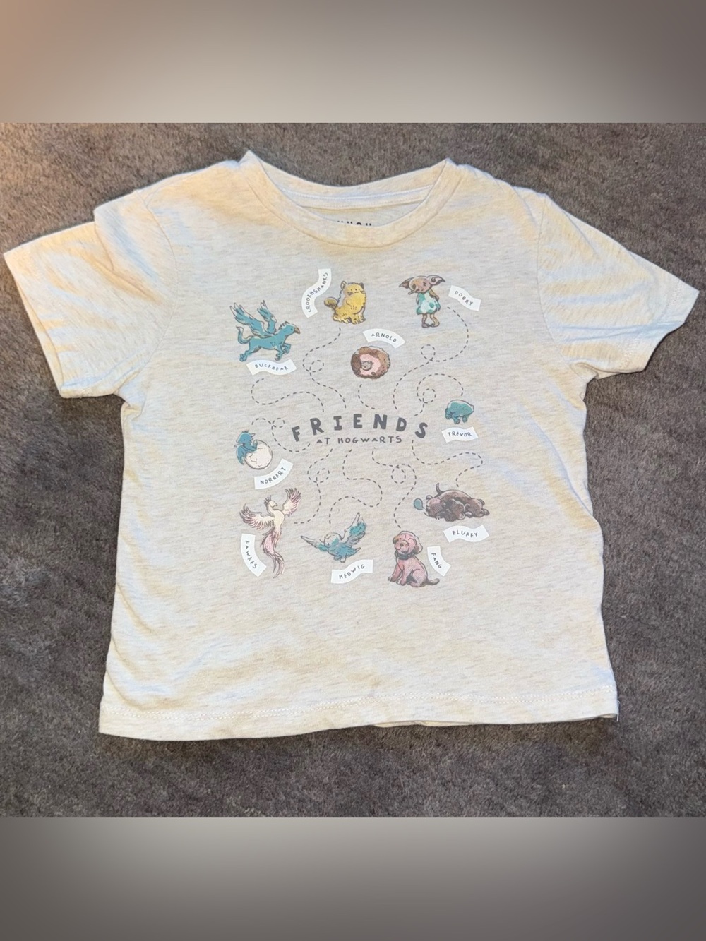 BoxLunch Harry Potter Friends at Hogwarts Shirt 3T